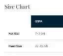 Size Chart Hat.webp